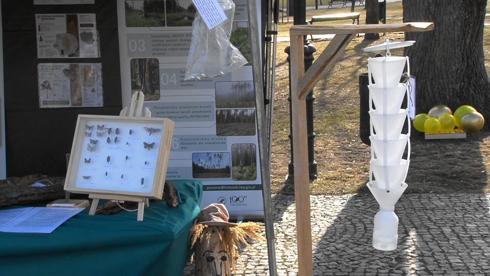 Obchody "Święta Lasu" w Suwałkach 17 Image15 1