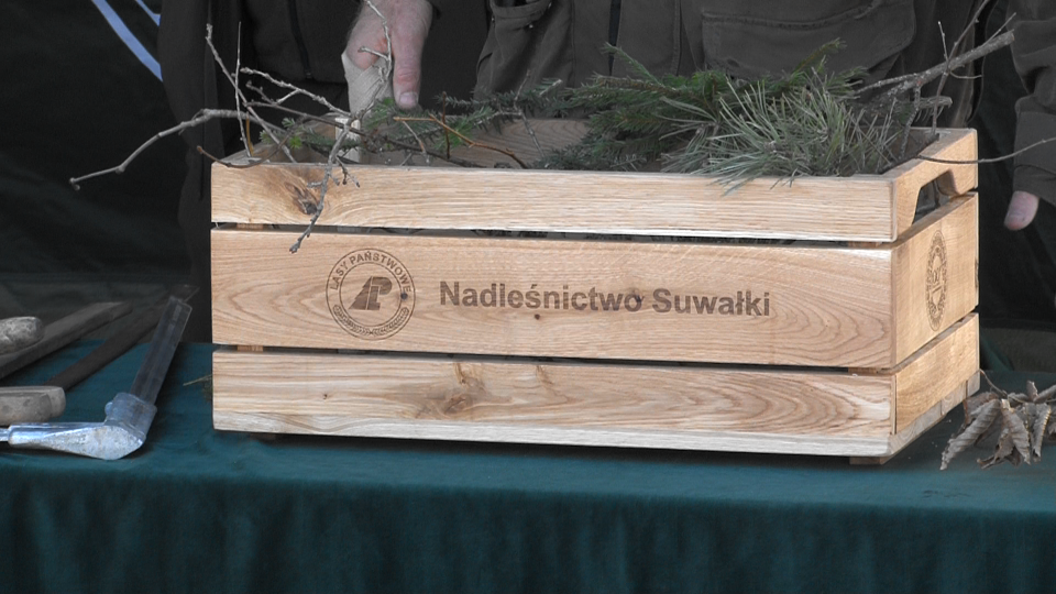 Obchody "Święta Lasu" w Suwałkach 20 Image18 1