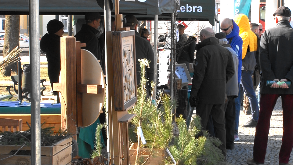 Obchody "Święta Lasu" w Suwałkach 25 Image23 1