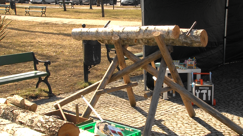 Obchody "Święta Lasu" w Suwałkach 18 Image29 1