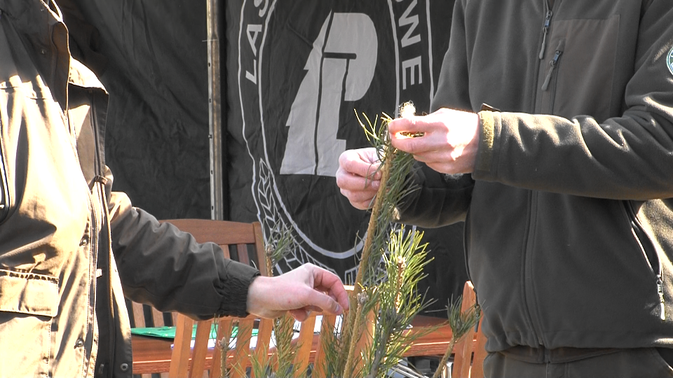 Obchody "Święta Lasu" w Suwałkach 30 Image30 1