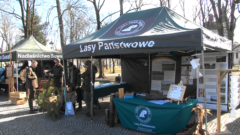 Obchody "Święta Lasu" w Suwałkach 7 Image31 1