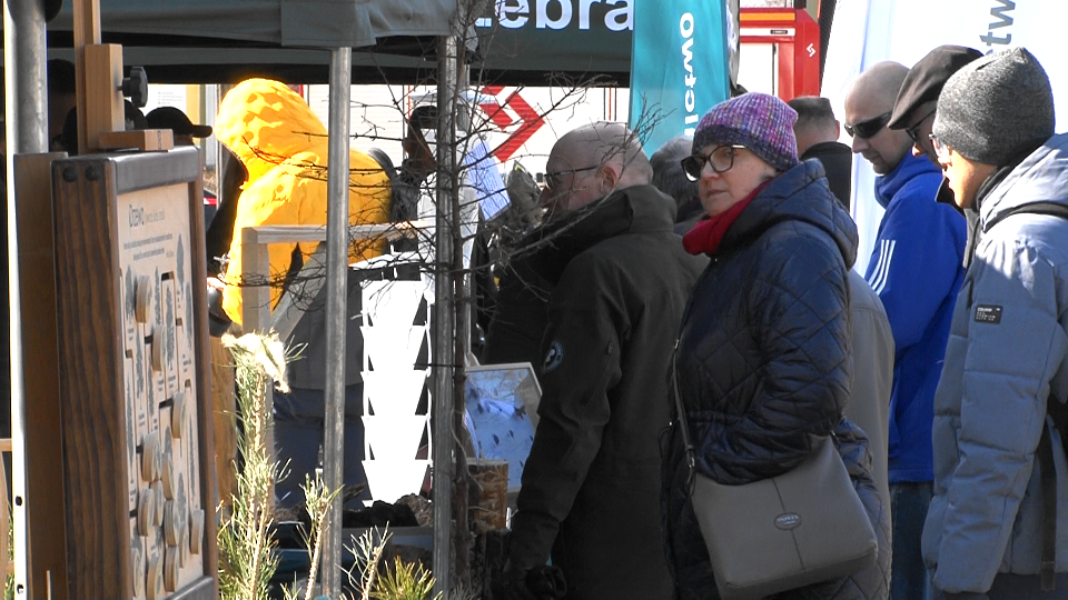 Obchody "Święta Lasu" w Suwałkach 35 Image36