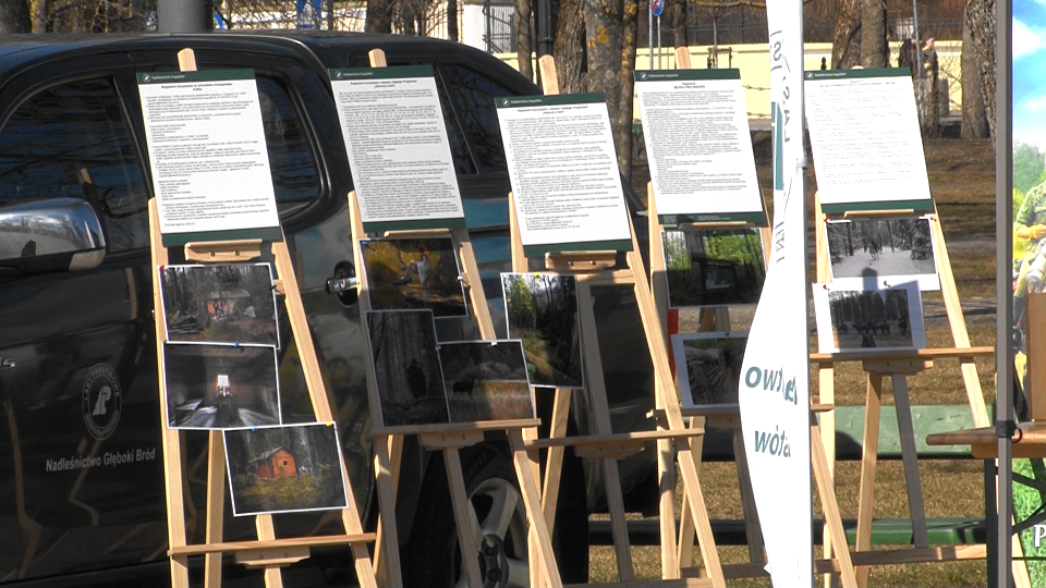 Obchody "Święta Lasu" w Suwałkach 36 Image37