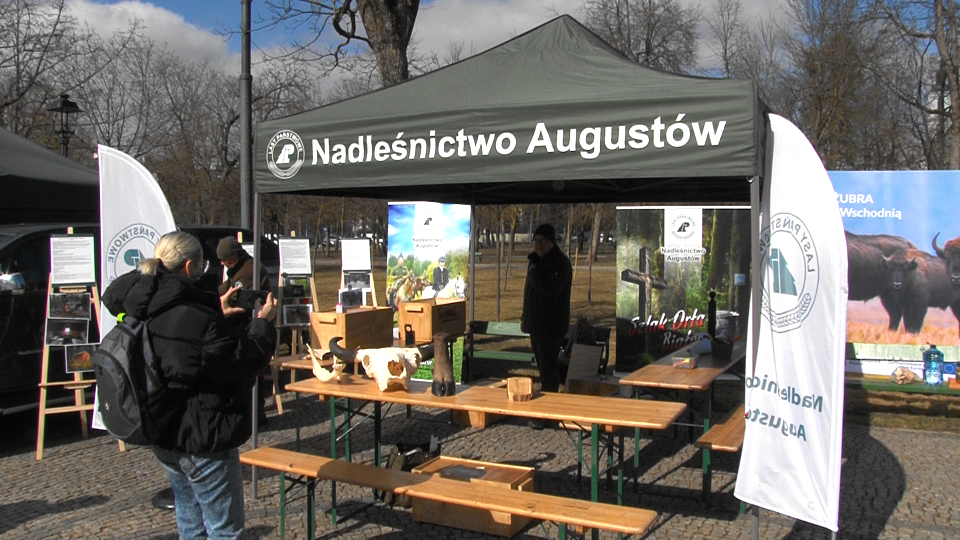 Obchody "Święta Lasu" w Suwałkach 2 Image5 1