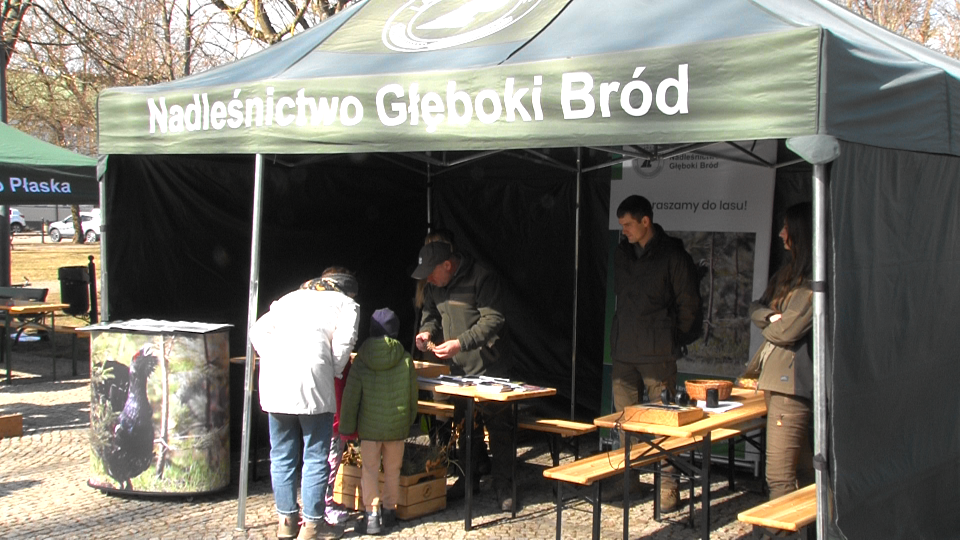 Obchody "Święta Lasu" w Suwałkach 3 Image7 1