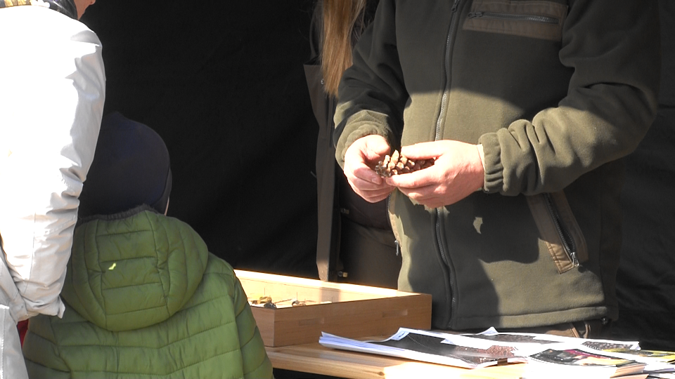 Obchody "Święta Lasu" w Suwałkach 11 Image8 1