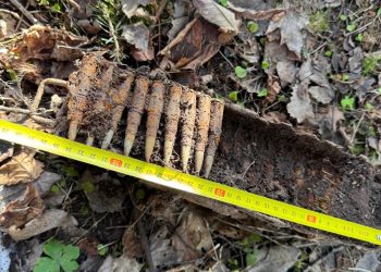 Fot. 15. Giżycka Brygada Zmechanizowana