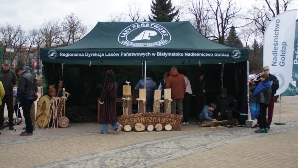 Na placu Jana Pawła II wyrosło leśne miasteczko 12 dzien lasu 11