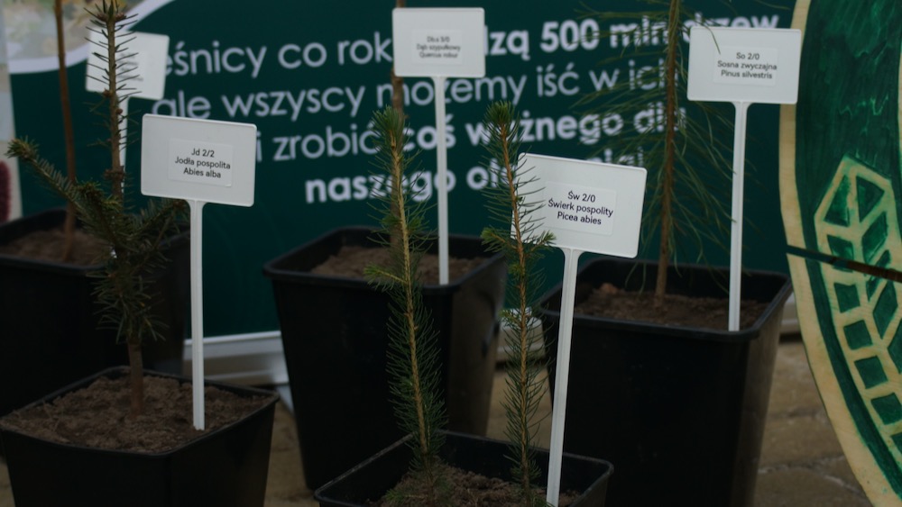 Na placu Jana Pawła II wyrosło leśne miasteczko 13 dzien lasu 12