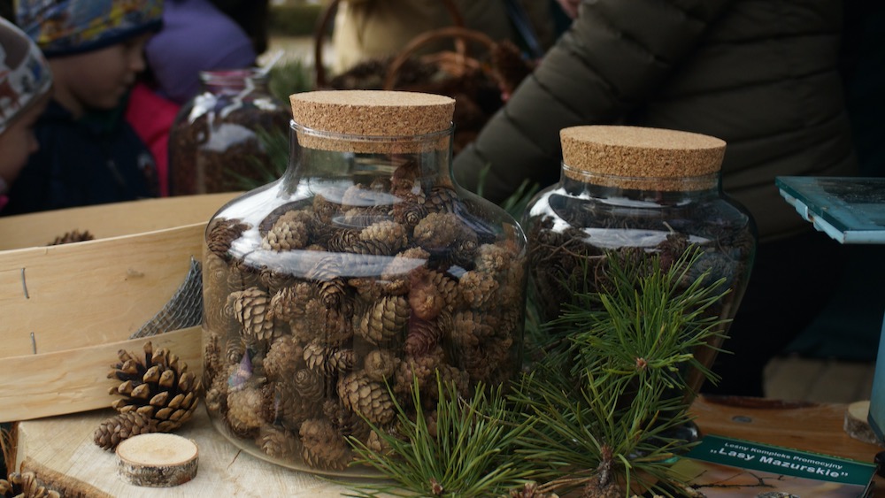 Na placu Jana Pawła II wyrosło leśne miasteczko 14 dzien lasu 13