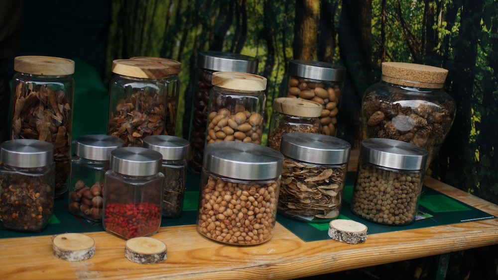 Na placu Jana Pawła II wyrosło leśne miasteczko 15 dzien lasu 14