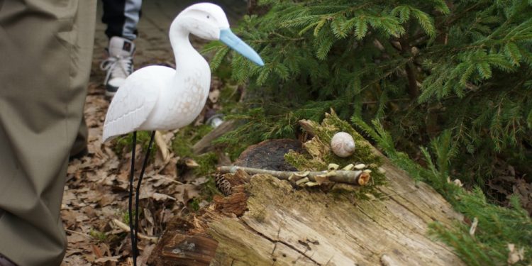 Na placu Jana Pawła II wyrosło leśne miasteczko 1 dzien lasu 19