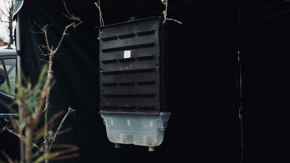 Na placu Jana Pawła II wyrosło leśne miasteczko 3 dzien lasu 2