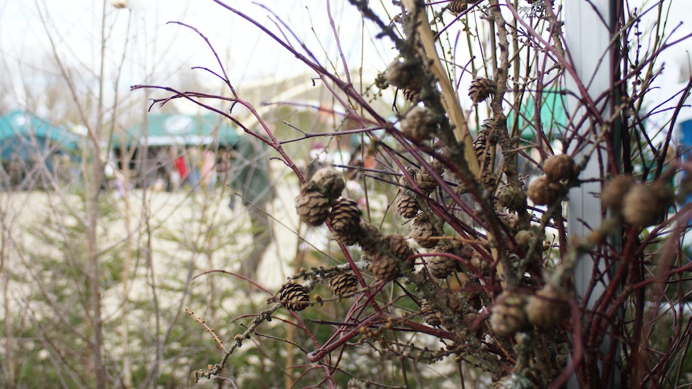 Na placu Jana Pawła II wyrosło leśne miasteczko 21 dzien lasu 20