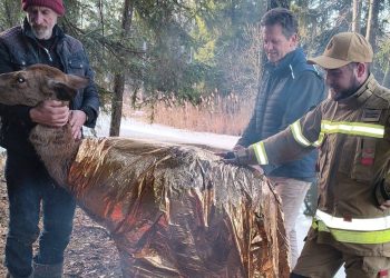 Fot. OSP KSRG Gruszki