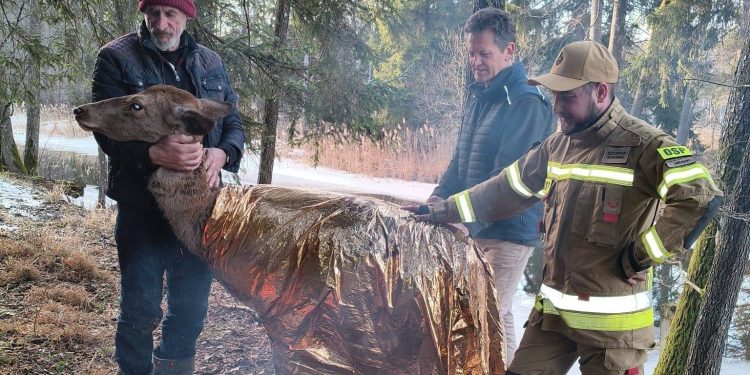 Fot. OSP KSRG Gruszki