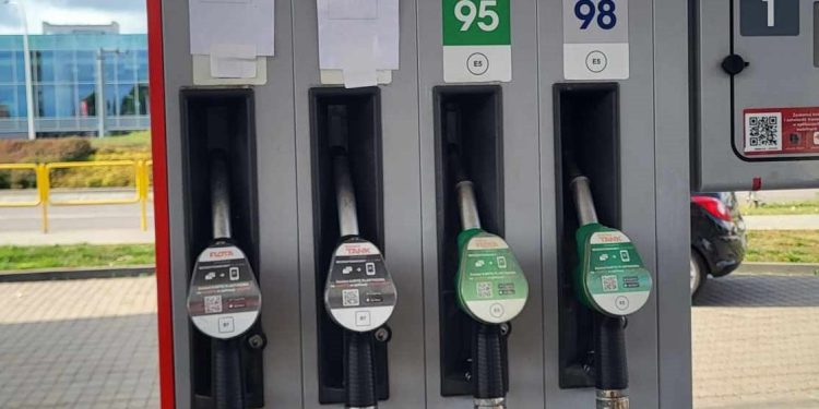 Zdjęcie jest tylko ilustracją do tekstu