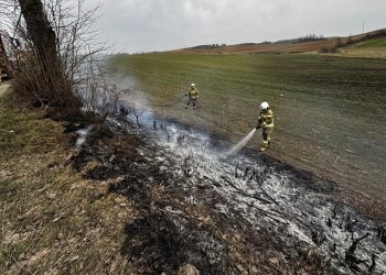Trzy pożary traw 8 zdj. OSP w Nowej Wsi Ełckiej