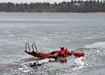 Psa, pod którym załamał się lód, uratowali strażacy! 2 zdj. Komenda Powiatowa Państwowej Straży Pożarnej w Olecku