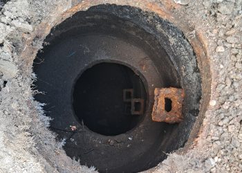 Fot. dr Jakub Knyżewski