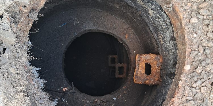 Fot. dr Jakub Knyżewski