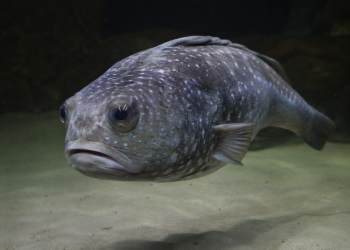 3a8519ff d8a2 4f44 ad78 96e33f8e78f8