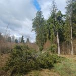 661366764 1573079461492280 6768455893698659997 n