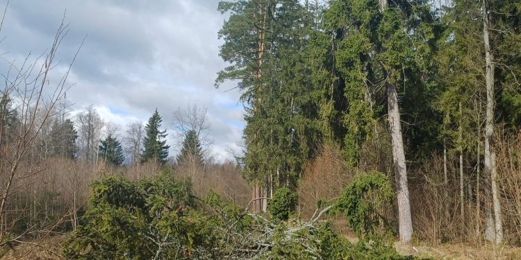 661366764 1573079461492280 6768455893698659997 n