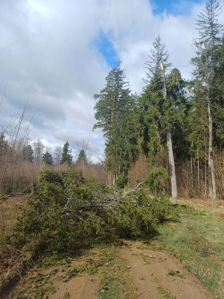 661366764 1573079461492280 6768455893698659997 n