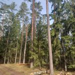 666111242 1573079511492275 8057476287512990024 n