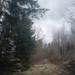 666816379 1573079591492267 4168168909104778191 n