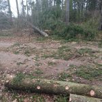 667301595 1573079648158928 1155472028688149957 n