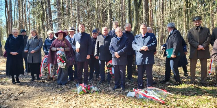 6677f8b9 f5a1 4845 bef3 57b8875c3e4d