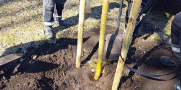 667851376 1406393981660758 8069567227989260377 n