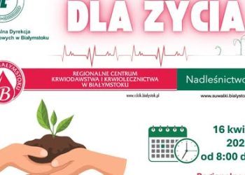 668481293 1243643341272430 6087221656728289523 n