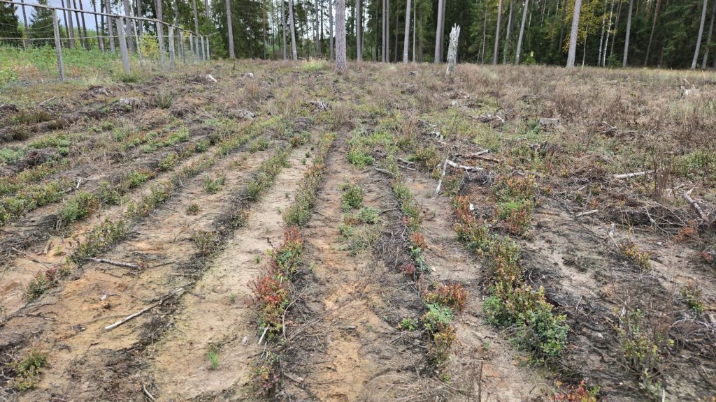 6ea5a7d3 4c60 4dbe b050 1d9b7c83c184 scaled 1