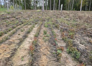 6ea5a7d3 4c60 4dbe b050 1d9b7c83c184 scaled 1