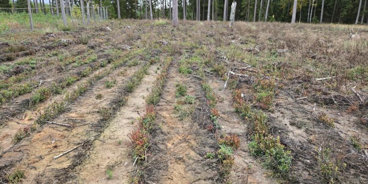 6ea5a7d3 4c60 4dbe b050 1d9b7c83c184 scaled 1