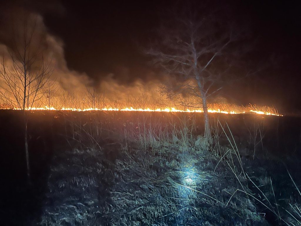 WhatsApp Image 2026 04 07 at 00.08.55 1