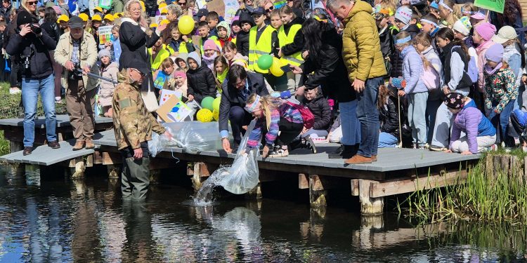 a3329276 0e07 4ac7 b849 899a54b20f0b