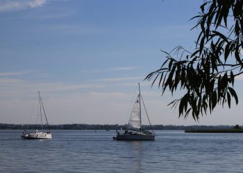 Zdjęcie jest tylko ilustracją do tekstu/Fot. Radio 5