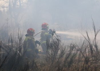 Fot. Nadleśnictwo Drygały