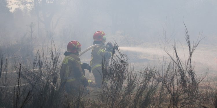 Doskonalili techniki gaszenia lasów 1 Fot. Nadleśnictwo Drygały