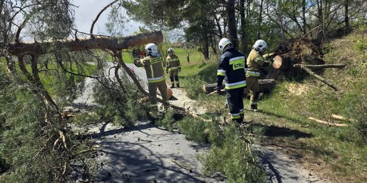 zdj. OSP w Nowej Wsi Ełckiej