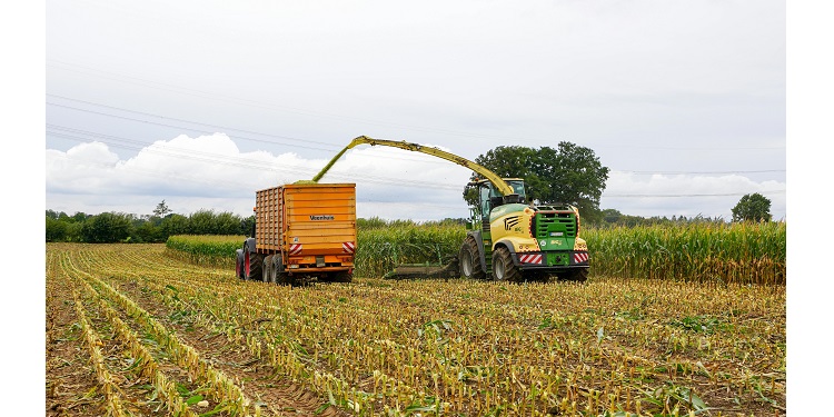 Stabilność finansowa gospodarstwa: jak budować fundamenty nowoczesnego agrobiznesu? 1 1 6