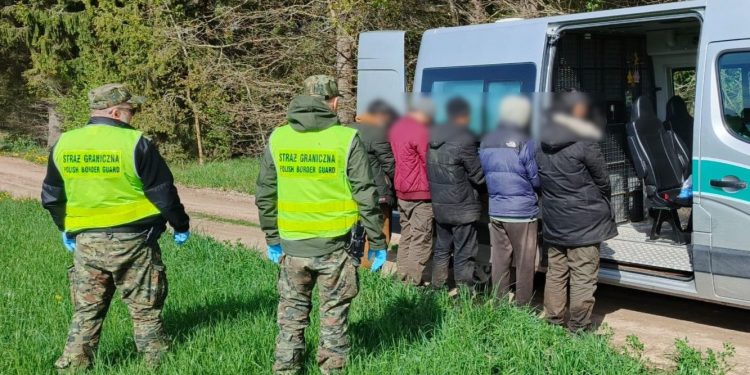 Kolejne zatrzymania na granicy polsko-litewskiej 1 źródło: POSG
