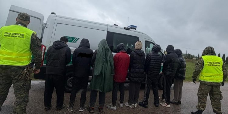 Nielegalnie przekroczyli granicę z Litwy do Polski 1 źródło: POSG