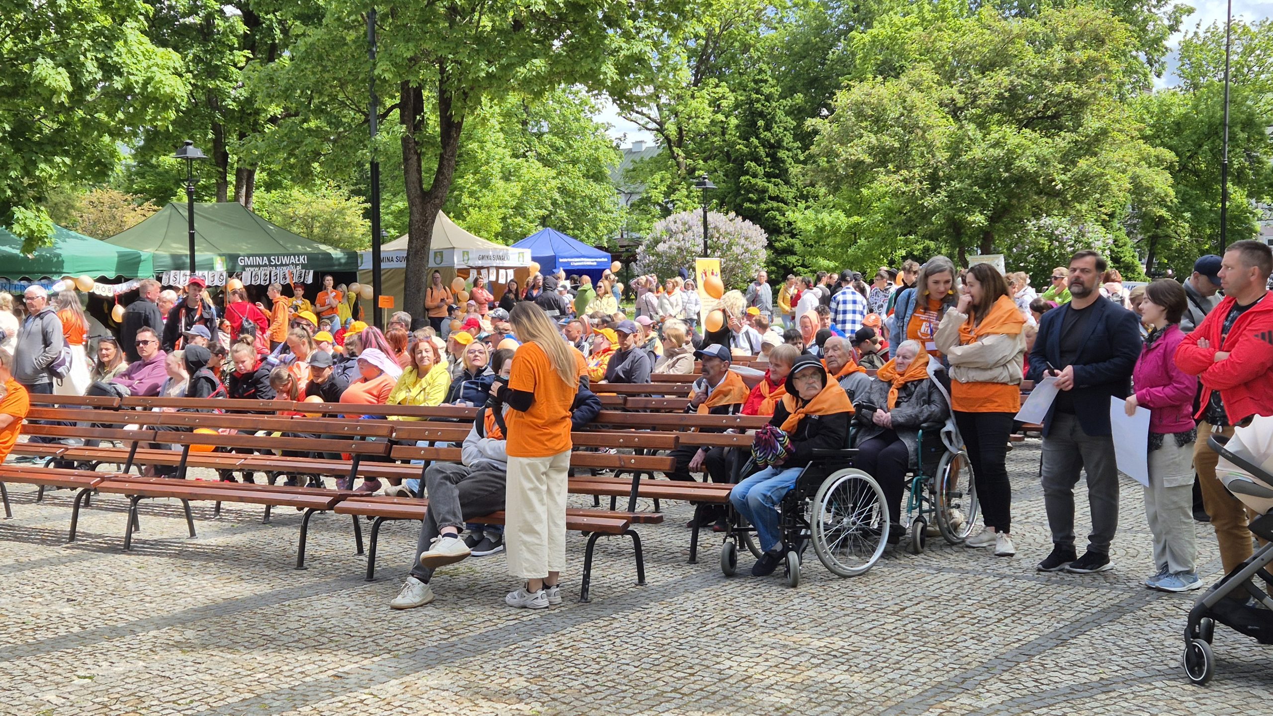 Obchody Dnia Godności Osób z Niepełnosprawnością 49 20260528 112340 scaled