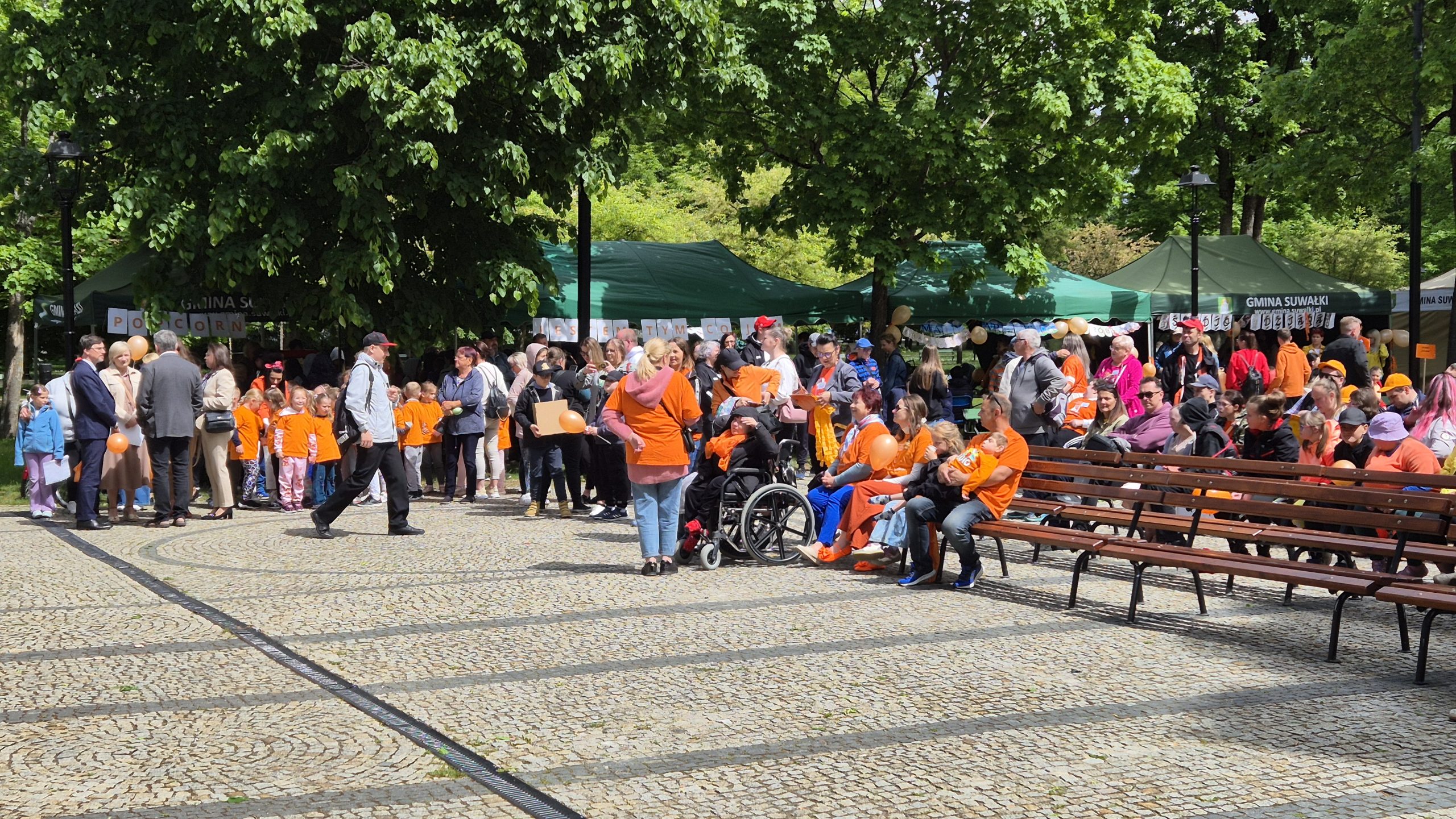 Obchody Dnia Godności Osób z Niepełnosprawnością 50 20260528 112344 scaled